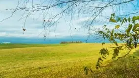 Mazury są pełne schronów i bunkrów z czasów I i II w.ś. - zdjęcie 37