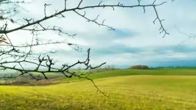 Mazury są pełne schronów i bunkrów z czasów I i II w.ś. - zdjęcie 38