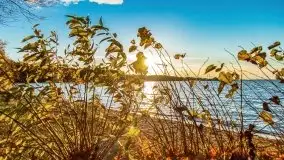 Jesienny Dargin pełen urokliwych kolorów - zdjęcie 6