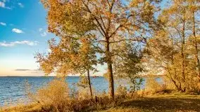 Jesienny Dargin pełen urokliwych kolorów - zdjęcie 22