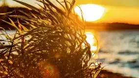 Jesienny Dargin pełen urokliwych kolorów - zdjęcie 47