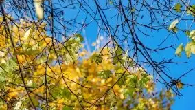 Mazurska złota jesień w Giżycku i okolicach - zdjęcie 6