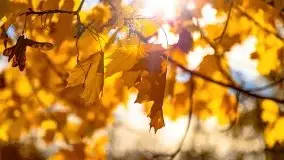 Mazurska złota jesień w Giżycku i okolicach - zdjęcie 29