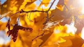 Mazurska złota jesień w Giżycku i okolicach - zdjęcie 2