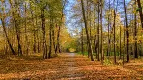 Mazurska złota jesień w Giżycku i okolicach - zdjęcie 14