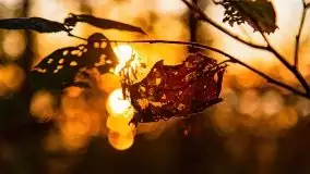 Zachód słońca nad jeziorem Kruklin, październik 2021 - zdjęcie 20