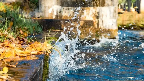 Kanał Łuczański w barwach jesieni, październik 2021 r. - zdjęcie 5