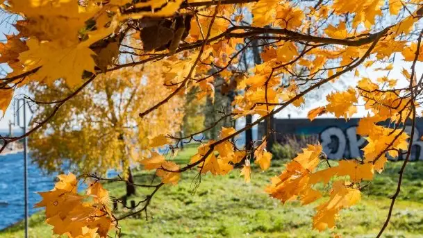 Kanał Łuczański w barwach jesieni, październik 2021 r. - zdjęcie 6