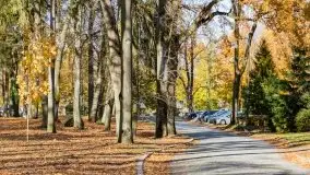 Kanał Łuczański w barwach jesieni, październik 2021 r. - zdjęcie 28