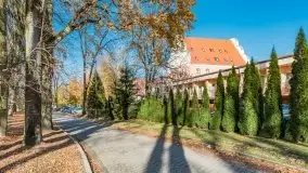 Kanał Łuczański w barwach jesieni, październik 2021 r. - zdjęcie 21