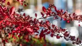 Kanał Łuczański w barwach jesieni, październik 2021 r. - zdjęcie 26