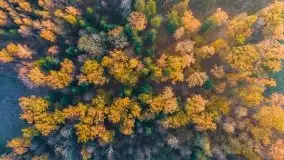 Wschód słońca nad jeziorem Kruklin, październik 2021 r. - zdjęcie 40