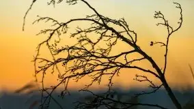 Wschód słońca nad jeziorem Kruklin, październik 2021 r. - zdjęcie 30