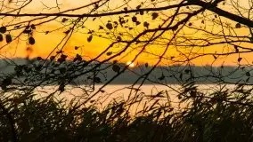 Wschód słońca nad jeziorem Kruklin, październik 2021 r. - zdjęcie 9