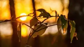 Wschód słońca nad jeziorem Kruklin, październik 2021 r. - zdjęcie 66