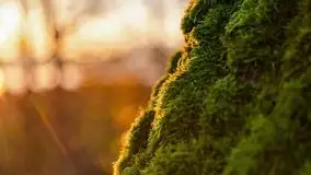 Wschód słońca nad jeziorem Kruklin, październik 2021 r. - zdjęcie 51