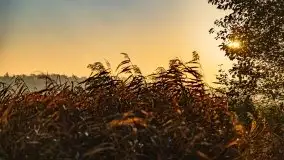 Wschód słońca nad jeziorem Kruklin, październik 2021 r. - zdjęcie 35