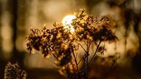 Wschód słońca nad jeziorem Kruklin, październik 2021 r. - zdjęcie 22