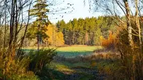 Wschód słońca nad jeziorem Kruklin, październik 2021 r. - zdjęcie 13