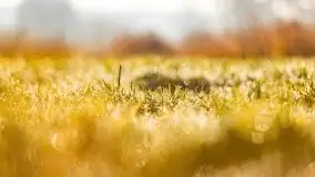 Wschód słońca nad jeziorem Kruklin, październik 2021 r. - zdjęcie 7