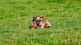 Wschód słońca nad jeziorem Kruklin, październik 2021 r. - zdjęcie 45