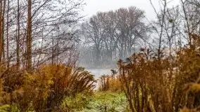 Wschód słońca nad jeziorami Niegocin i Grajewko w Bystrym - zdjęcie 38