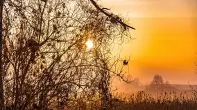 Wschód słońca nad jeziorami Niegocin i Grajewko w Bystrym - zdjęcie 52