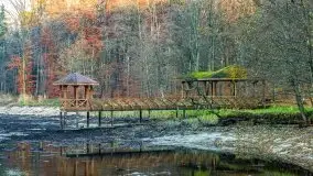 Las miejski w Giżycku pod koniec jesieni, listopad 2021 r. - zdjęcie 21