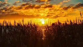 Wschód słońca nad jeziorem Święcajty, listopad 2021 r. - zdjęcie 14