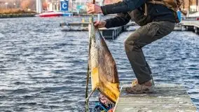 Fotorelacja z sprzątania dna w Ekomarinie Giżycko - zdjęcie 45