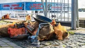 Fotorelacja z sprzątania dna w Ekomarinie Giżycko - zdjęcie 39