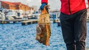 Fotorelacja z sprzątania dna w Ekomarinie Giżycko - zdjęcie 33