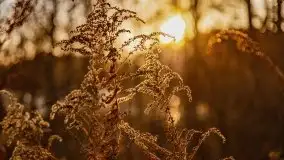 Zachód słońca nad jeziorem Tajty, widoczny z Pięknej Góry - zdjęcie 14