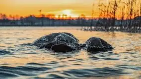 Zachód słońca nad jeziorem Święcajty, grudzień 2021 r. - zdjęcie 1