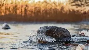 Zachód słońca nad jeziorem Święcajty, grudzień 2021 r. - zdjęcie 10