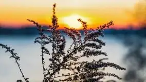 Zachód słońca nad jeziorem Święcajty, grudzień 2021 r. - zdjęcie 23