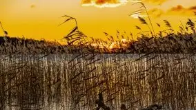 Grudniowy zachód słońca nad jeziorem Kisajno 2021 - zdjęcie 23