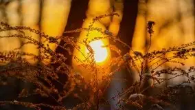 Wschód słońca nad jeziorem Niegocin, krzyż św. Brunona - zdjęcie 20