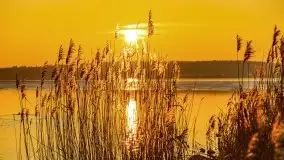 Styczniowy zachód słońca nad jeziorem Święcajty, 2022 r. - zdjęcie 35