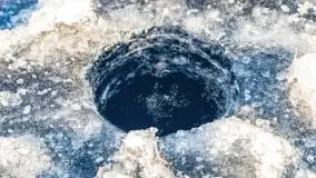 Zimowy las nad jeziorem Mulik, styczeń 2021 - zdjęcie 33