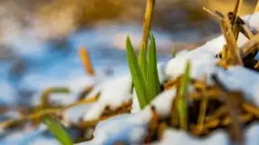 Zimowy las nad jeziorem Mulik, styczeń 2021 - zdjęcie 17