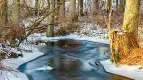 Zimowy las nad jeziorem Mulik, styczeń 2021 - zdjęcie 36