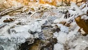 Zimowy las nad jeziorem Mulik, styczeń 2021 - zdjęcie 20