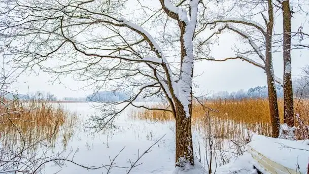 Księżycowy Dworek i jezioro Siercze w okowach zimy - zdjęcie 8