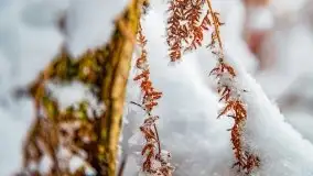 Księżycowy Dworek i jezioro Siercze w okowach zimy - zdjęcie 36