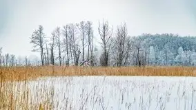 Księżycowy Dworek i jezioro Siercze w okowach zimy - zdjęcie 17