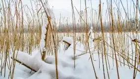 Księżycowy Dworek i jezioro Siercze w okowach zimy - zdjęcie 18