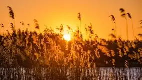 Wschód słońca nad jeziorami Boczne i Niegocin, styczeń 2022 r. - zdjęcie 17