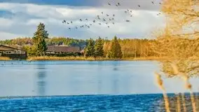 Słoneczny styczeń 2022 nad jeziorami Świętajno i Dworackie - zdjęcie 13