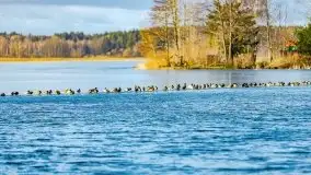 Słoneczny styczeń 2022 nad jeziorami Świętajno i Dworackie - zdjęcie 26